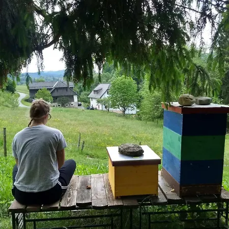 Dom wakacyjny Haus Grubmuhle *